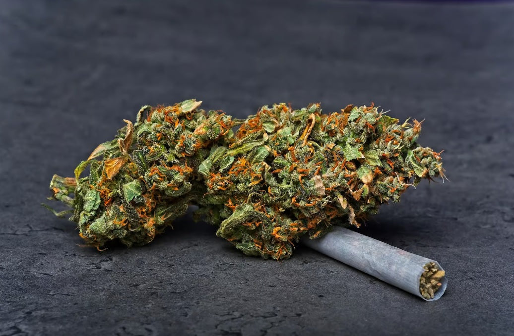 What is the PHC Cannabinoid?